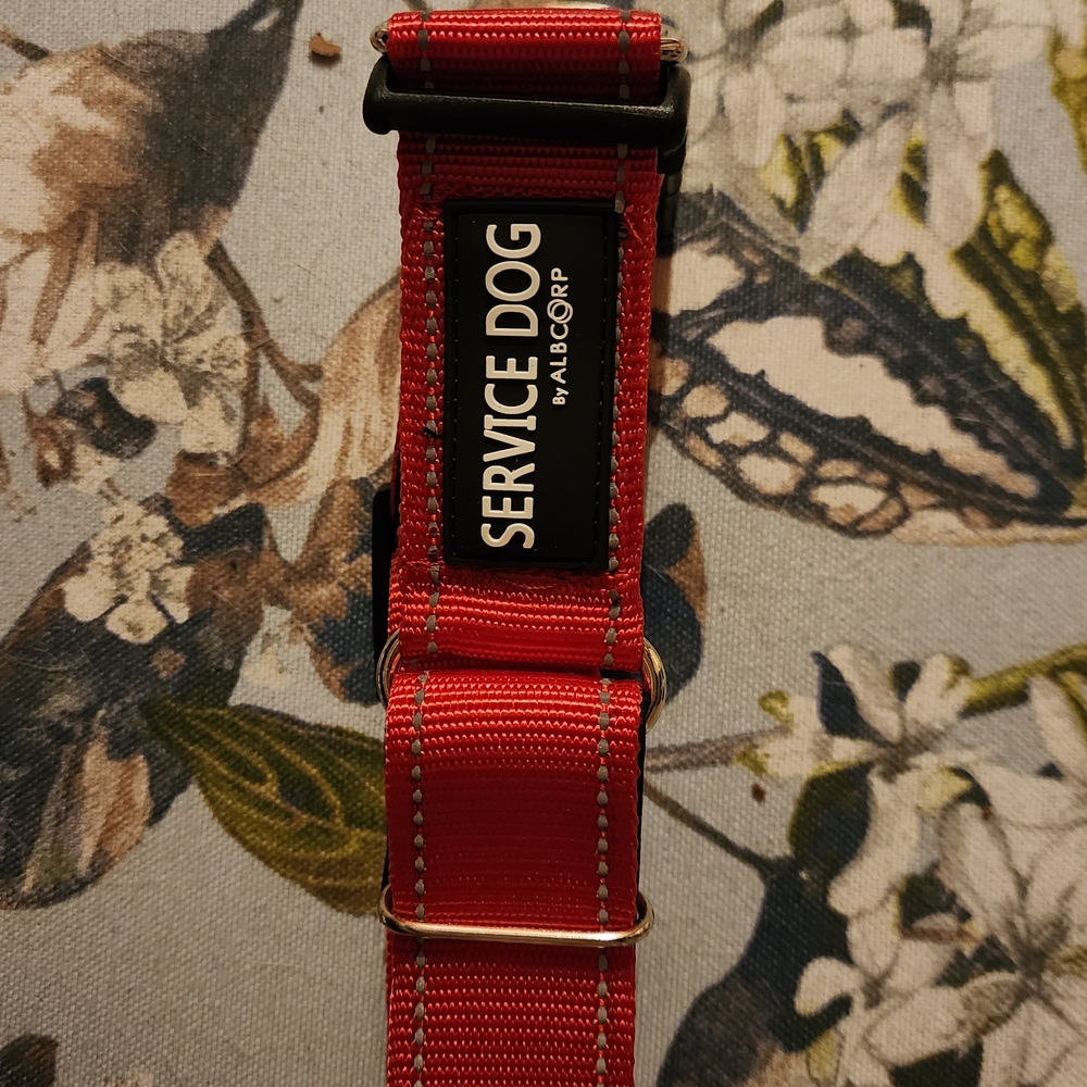 Red Service Dog Collar